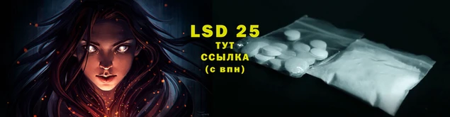 jwh Богородицк