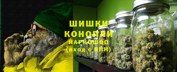 молекула духа Богородск