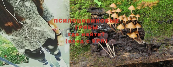 jwh Богородицк