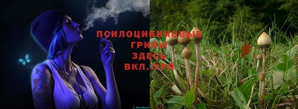 jwh Богородицк