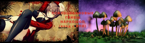 молекула духа Богородск