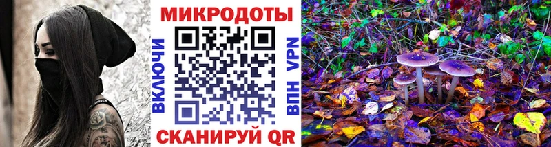 Галлюциногенные грибы Psilocybine cubensis  Купить  Богородицк 